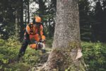 Tronçonneuse thermique MS 400 C-M – Stihl MS400CM – Image 7
