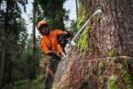 Tronçonneuse thermique MS 500 i – Stihl MS500i – Image 2